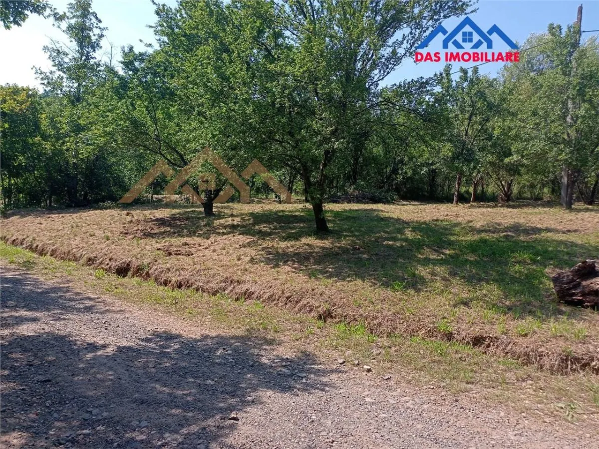 Teren intravilan,  2,5 ha, zona de deal in Seini - foto 1