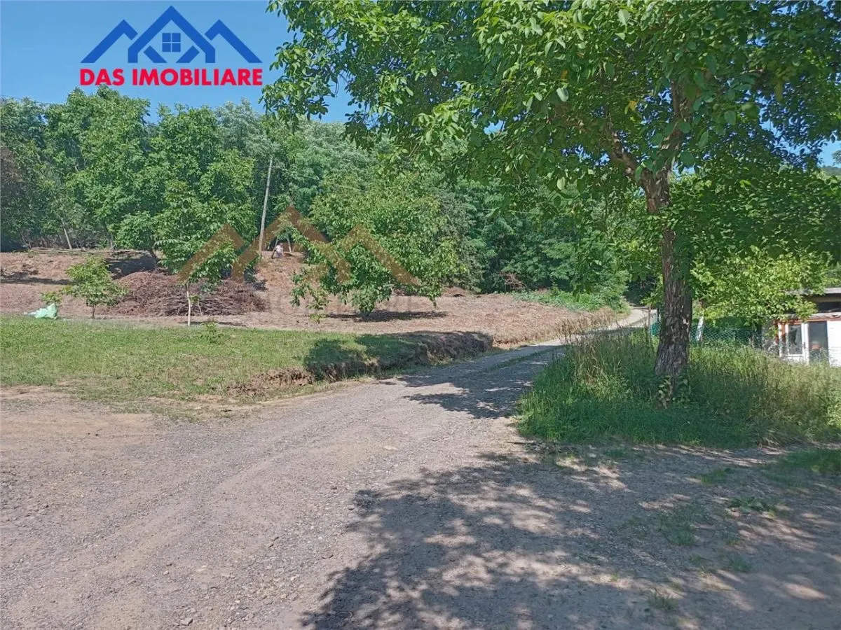 Teren intravilan,  2,5 ha, zona de deal in Seini - foto 2