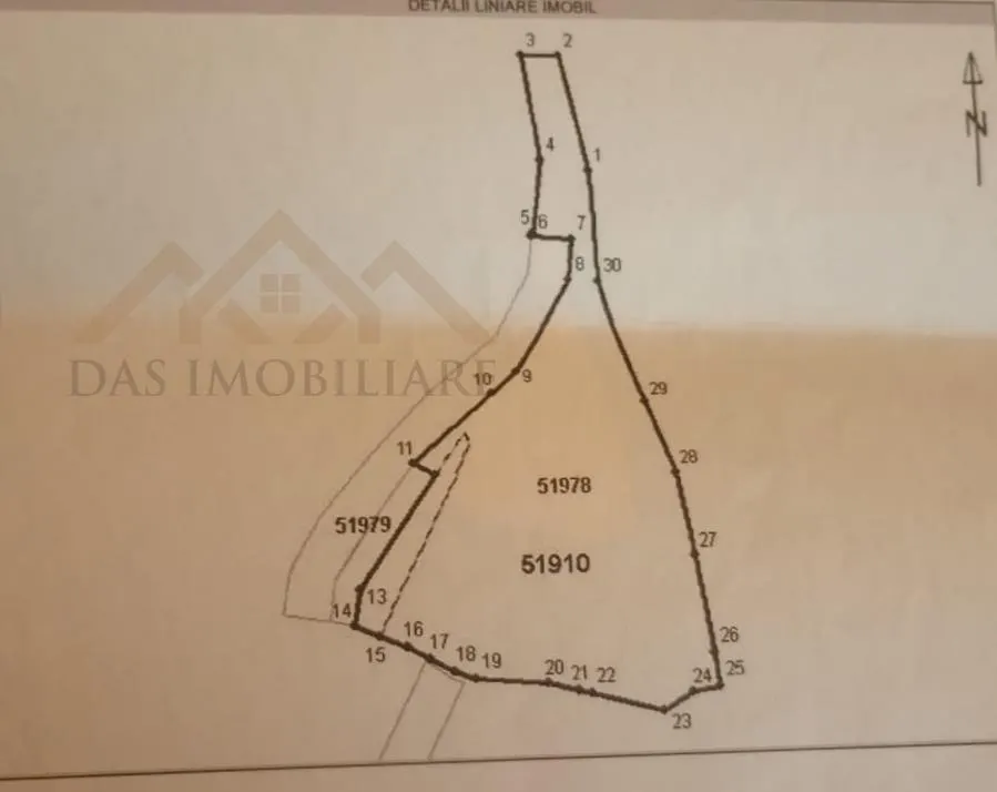 Teren intravilan,  2,5 ha, zona de deal in Seini - foto 4