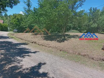 Teren intravilan,  2,5 ha, zona de deal in Seini - foto 5