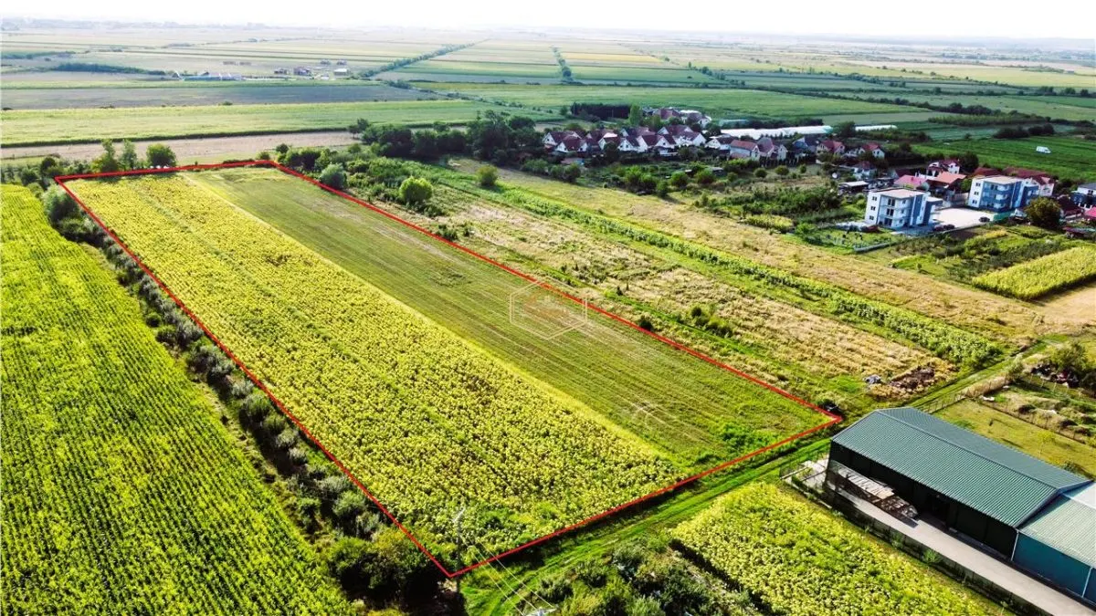 Dezvoltare rezidentiala: Teren pentru parcelare si construire case - foto 3