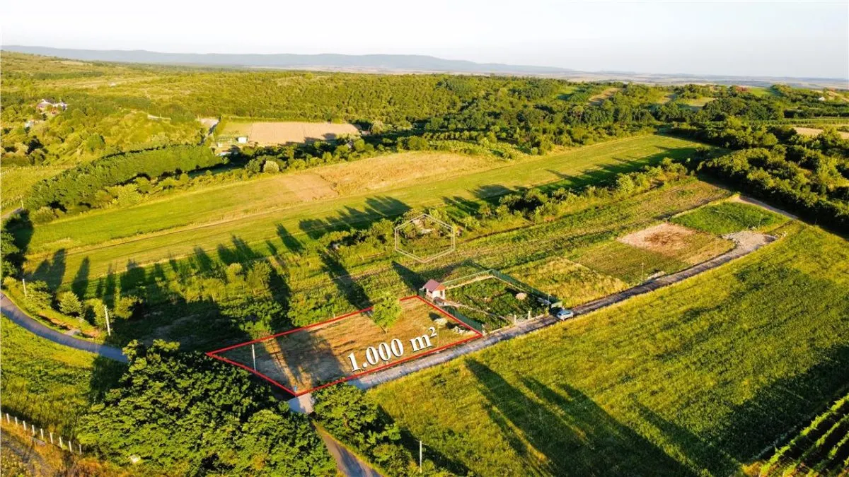 Teren intravilan cu vedere panoramica spre oras si padure | 1.000 mp - foto 1
