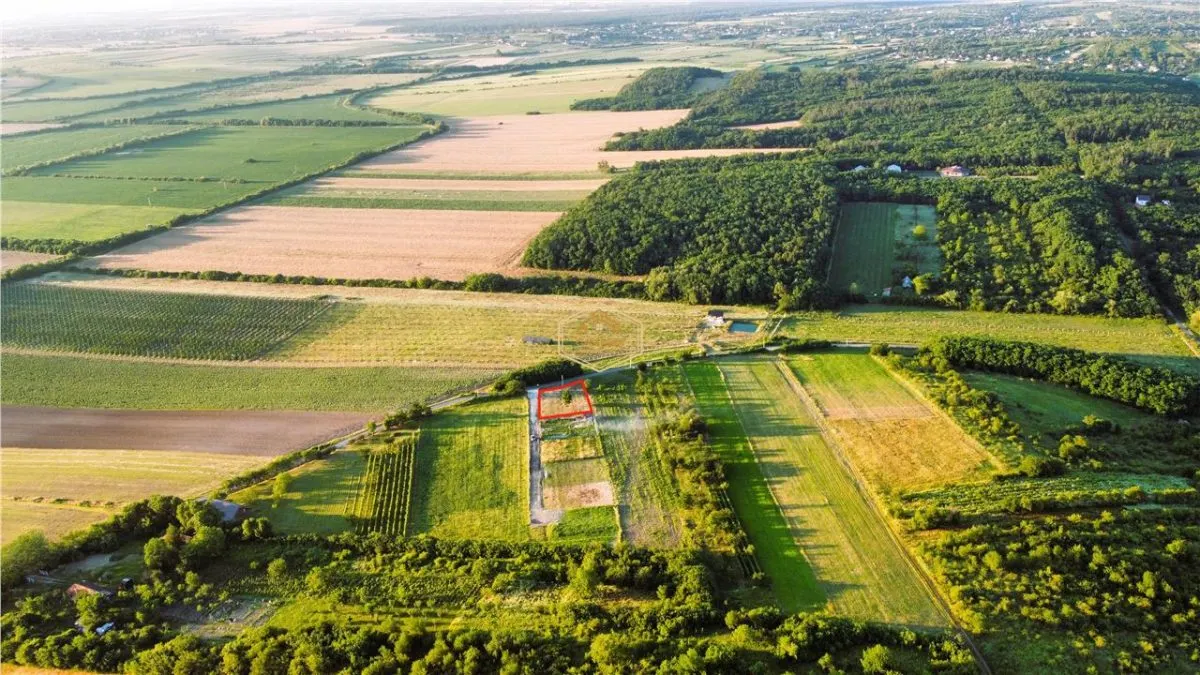 Teren intravilan cu vedere panoramica spre oras si padure | 1.000 mp - foto 5