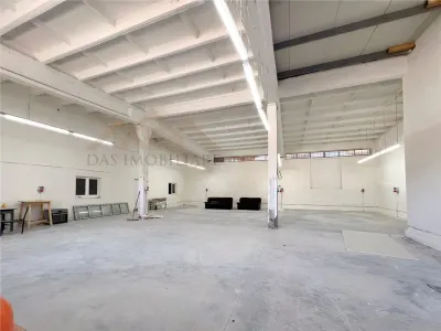 Hala industriala 750 mp cu 3 ari teren, str. Vasile Lucaciu - foto 2