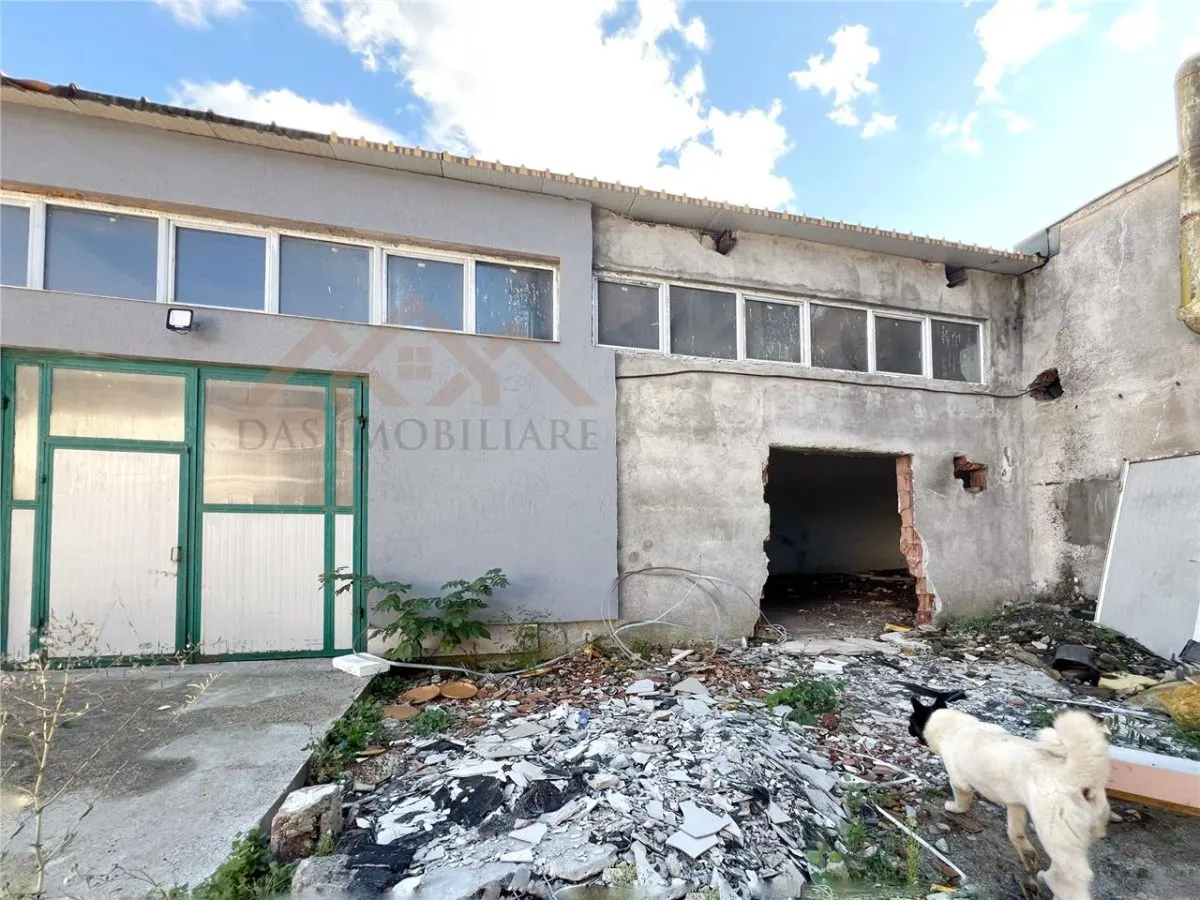 Hala industriala 750 mp cu 3 ari teren, str. Vasile Lucaciu - foto 13