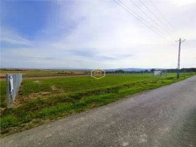 VIDEO | Priveliste de vis | Ultima parcela de casa imprejmuita | Drum asfaltat, utilitati - foto 8