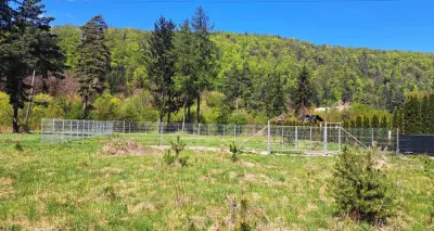 Vand teren constructii Bunloc - foto 3