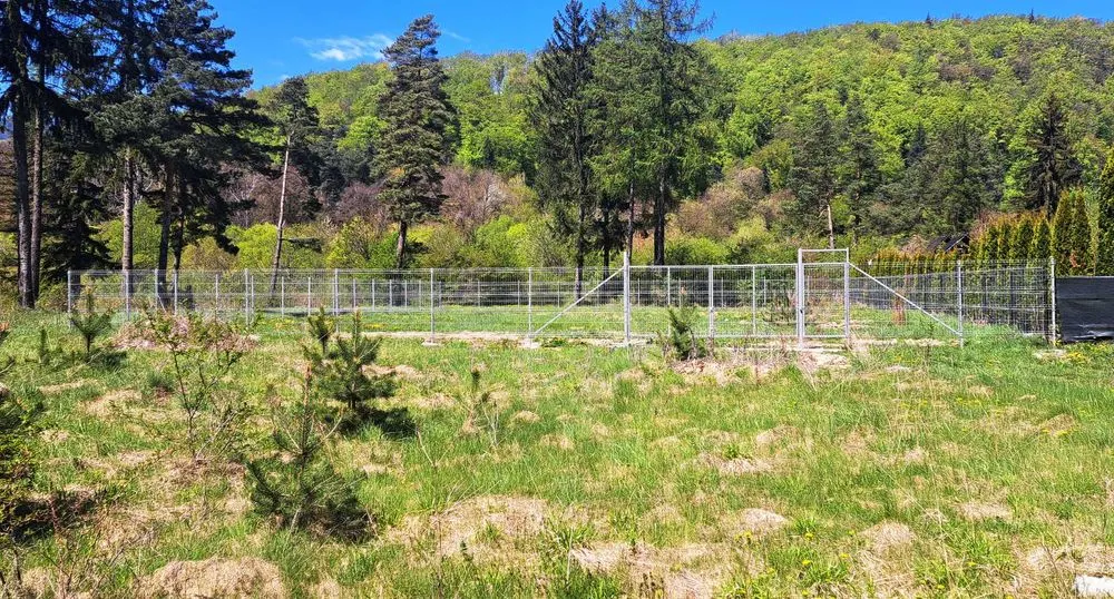 Vand teren constructii Bunloc - foto 4