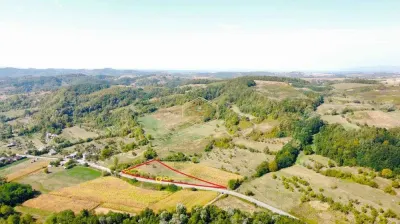 VIDEO | Teren 5.194 mÂ² | 181 metri front la strada Principala (DJ 182C) | Servicii - foto 2