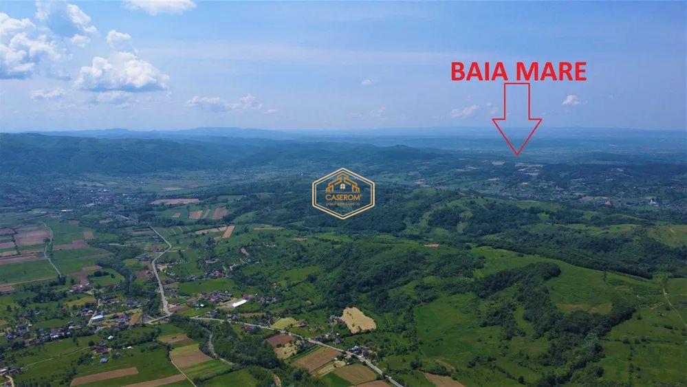 VIDEO | Teren 5.194 mÂ² | 181 metri front la strada Principala (DJ 182C) | Servicii - foto 11