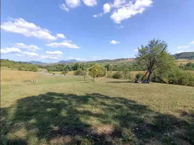 VIDEO | Teren 5.194 mÂ² | 181 metri front la strada Principala (DJ 182C) | Servicii - foto 5