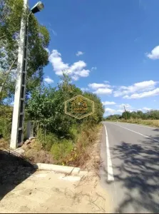 VIDEO | Teren 5.194 mÂ² | 181 metri front la strada Principala (DJ 182C) | Servicii - foto 6