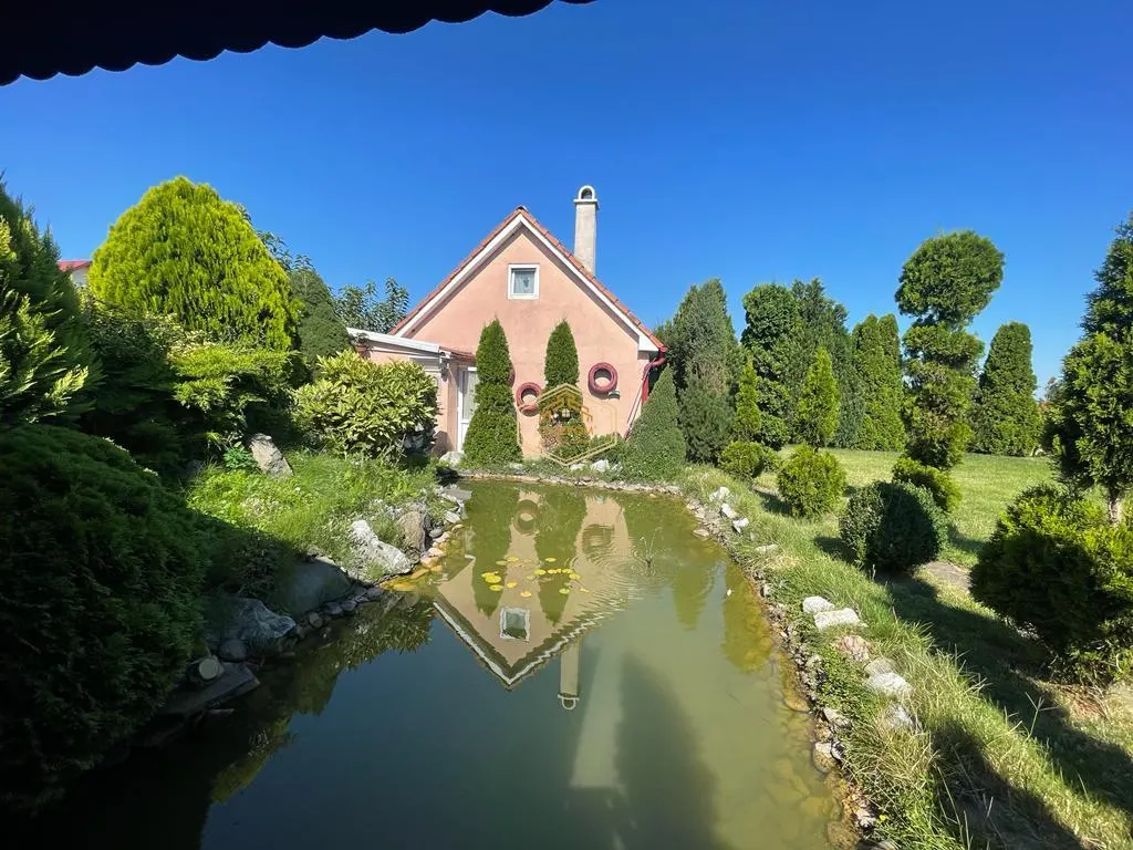 Casa moderna cu curte generoasa in Odoreu - foto 2
