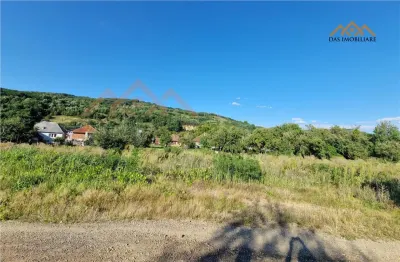 Casa veche cu teren de 59 ari, intravilan, Ilba  ( 20 km de Baia  Mare) - foto 4