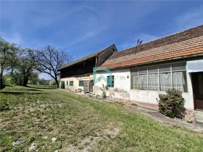 Oportunitate investitie Sacele - foto 2