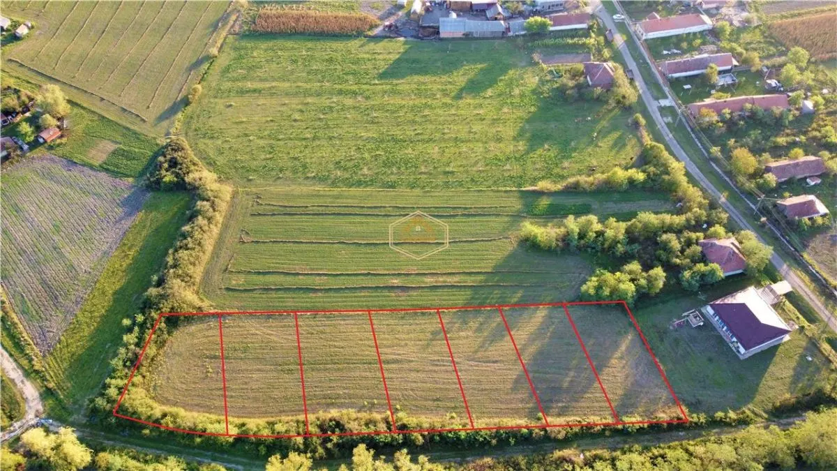 Teren intravilan 750 mp | Plata in 12 rate | Aproape de Satu Mare - foto 3