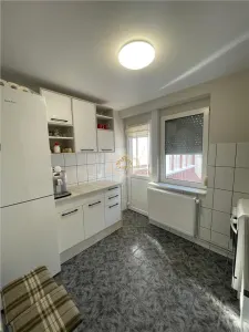 Apartament cu 2 camere + cladire P+M cu 2 unitati locative - Satu Mare