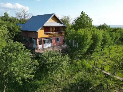 Pietrarie Vila P+1 s=164mp garaj beci teren 2000mp livada vie zona verde - Iasi