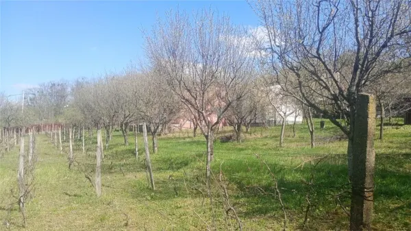 Casă 3 camere Iași - poza 14