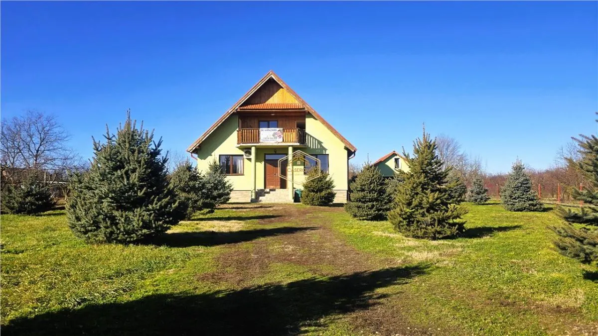 VIDEO | Vila spatioasa cu 6 camere, crama si teren generos | Bercu Rosu - foto 5