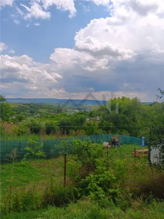 Teren Ciurbesti - poza 1