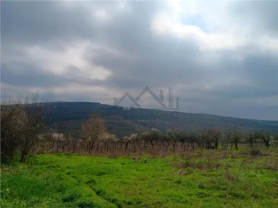 Aroneanu - Dorobant TEREN 46000mp PUZ realizat 59 de case la str principala cu toate utilitatile - foto 4