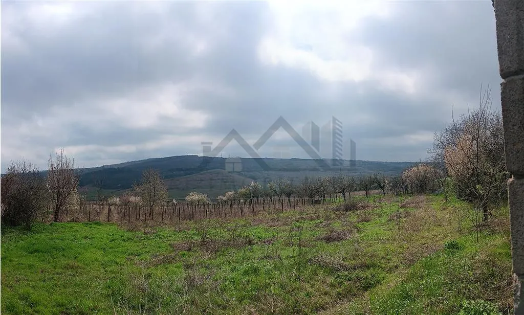 Aroneanu - Dorobant TEREN 46000mp PUZ realizat 59 de case la str principala cu toate utilitatile - foto 5