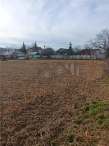 Bucium Paun central TEREN 3500mp la asfalt cu toate utilitatile - Paun