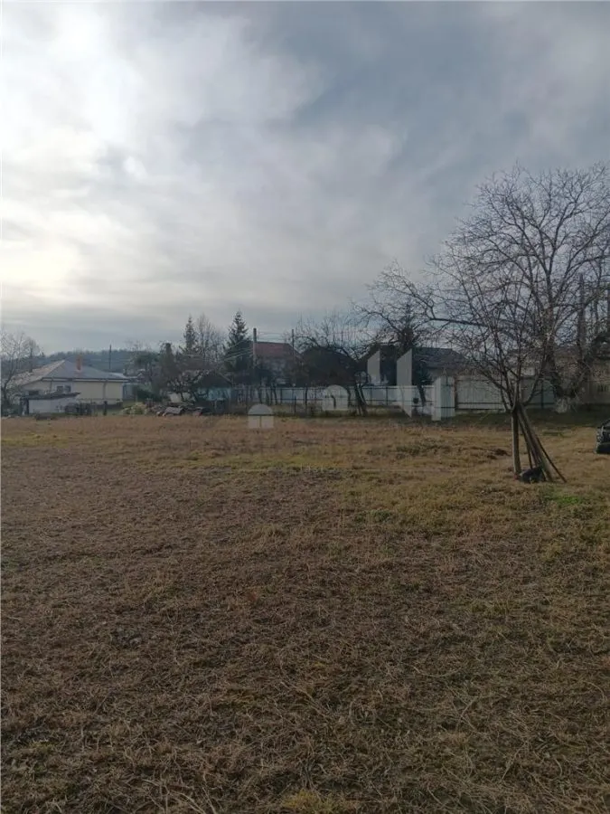Bucium Paun central TEREN 3500mp la asfalt cu toate utilitatile - foto 2