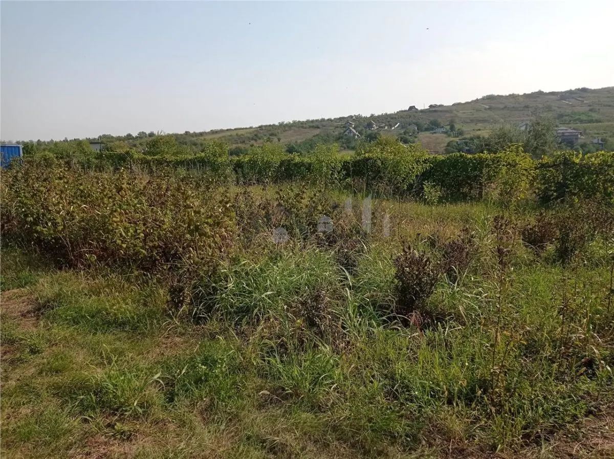 Tomesti - Cabana din lemn si Teren 1008mp intravilan - foto 6