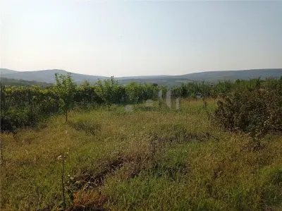 Tomesti - Cabana din lemn si Teren 1008mp intravilan - foto 7