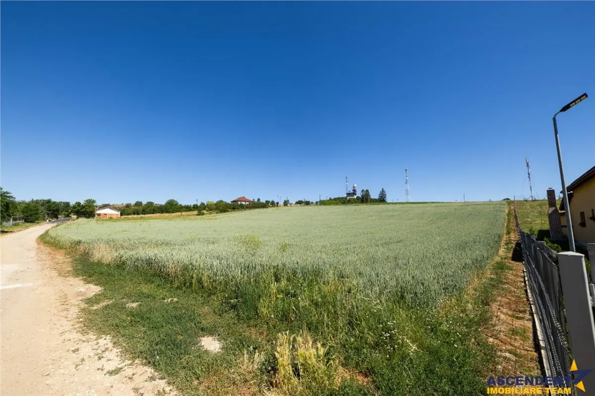 5 loturi casa Maierus,1.375mp,langa DN13, Doripesco,Brasov: 35min, zona verde:FILM! - foto 12