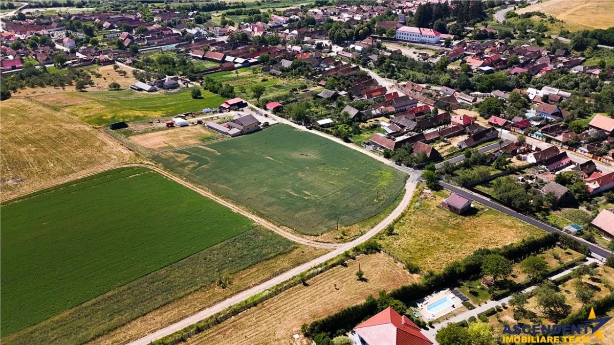 5 loturi casa Maierus,1.375mp,langa DN13, Doripesco,Brasov: 35min, zona verde:FILM! - foto 16