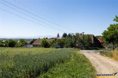 5 loturi casa Maierus,1.375mp,langa DN13, Doripesco,Brasov: 35min, zona verde:FILM! - foto 6