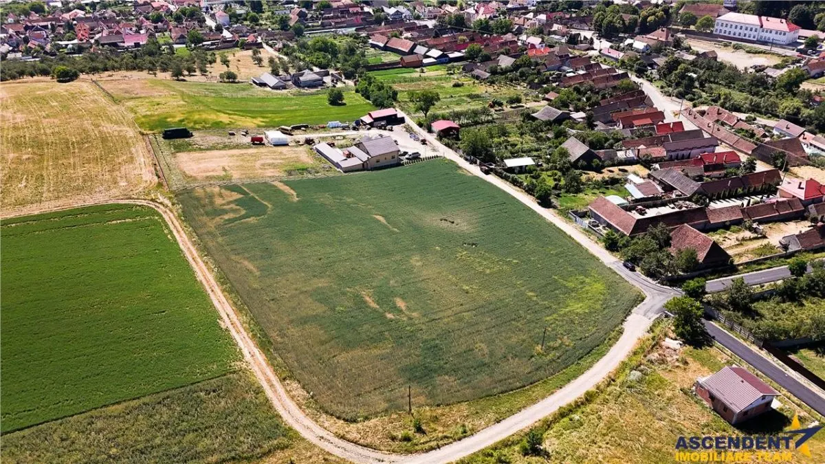 5 loturi casa Maierus,1.375mp,langa DN13, Doripesco,Brasov: 35min, zona verde:FILM! - foto 10