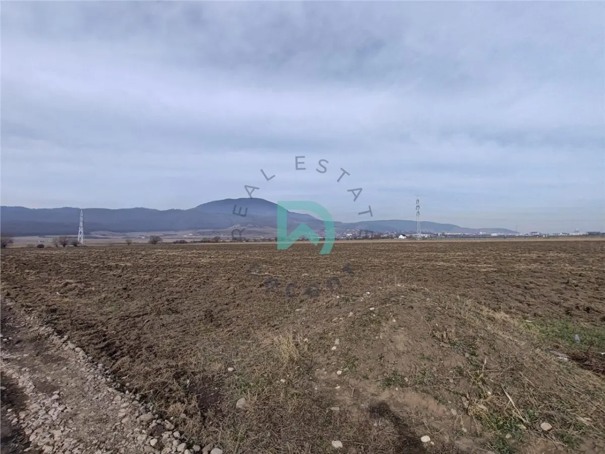 Teren intravilan Industrial, 38800 mp, cu Autorizatie de Construire, Codlea Brasov - foto 2