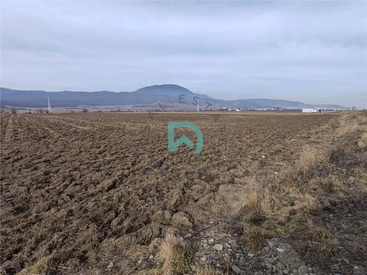 Teren intravilan Industrial, 38800 mp, cu Autorizatie de Construire, Codlea Brasov - foto 4