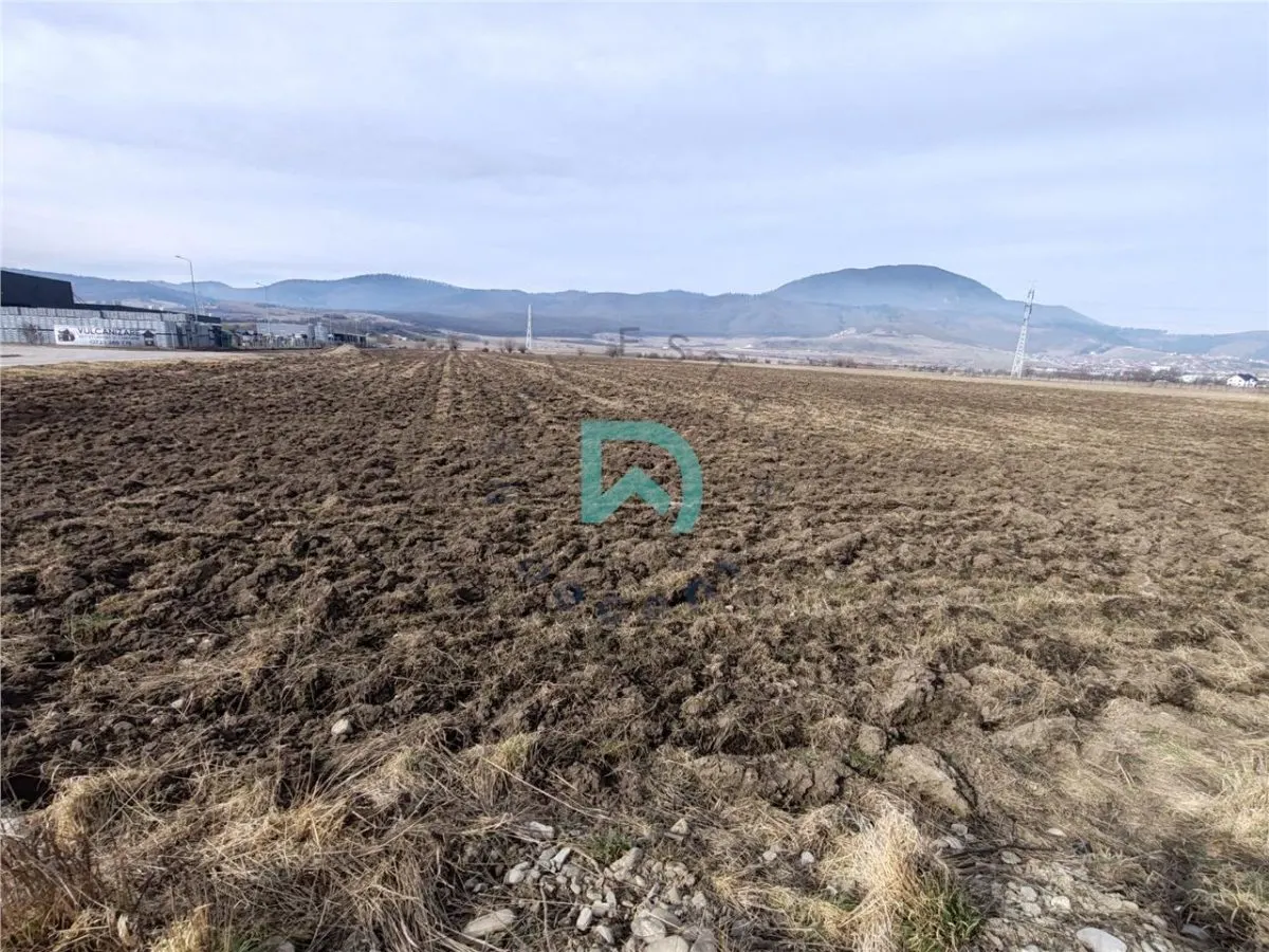 Teren intravilan Industrial, 38800 mp, cu Autorizatie de Construire, Codlea Brasov - foto 7