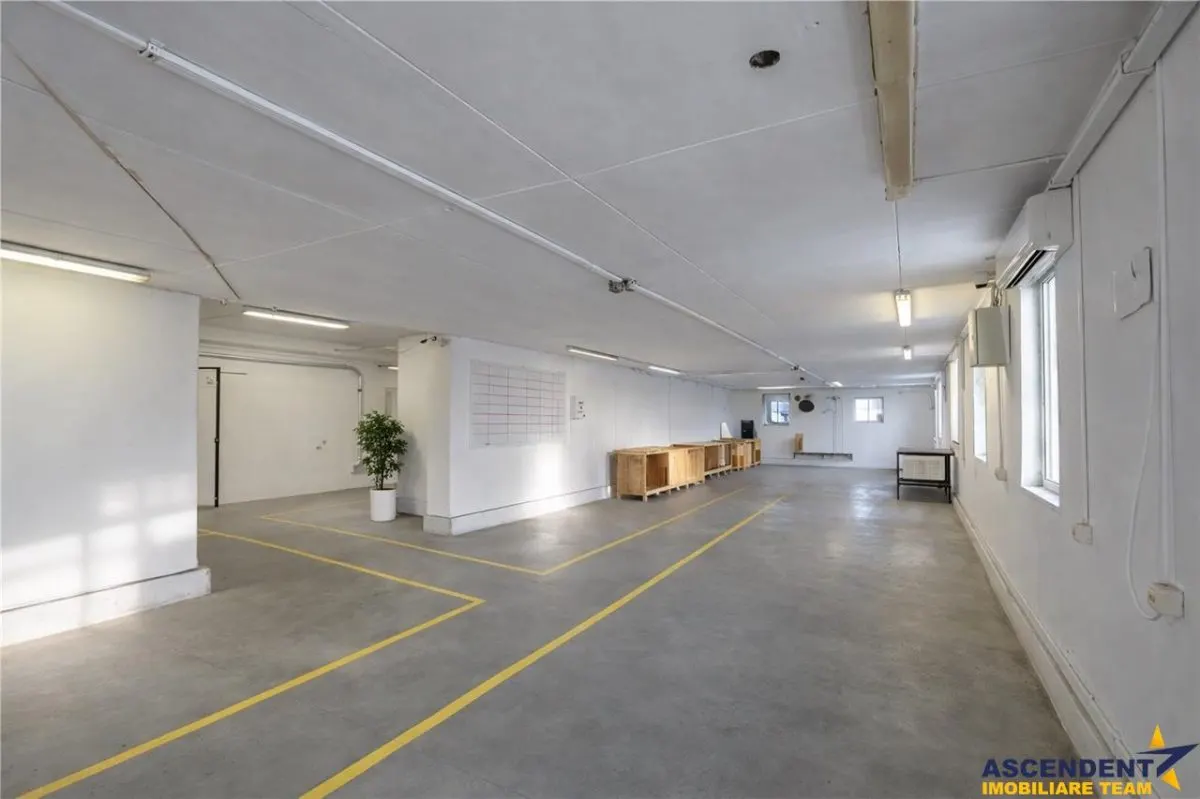 Complex industrial modern, acces dublu, potential apreciabil, Valea Crisului, Sfantu Gheorghe - foto 9
