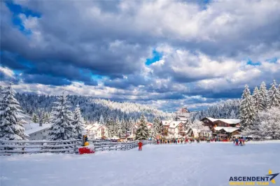 In inima Statiunii Poiana Brasov, Investment Class, - foto 6