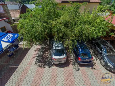 Pensiune cu restaurant, profit asigurat din chirii, terasa spre munte, Brasov - foto 13