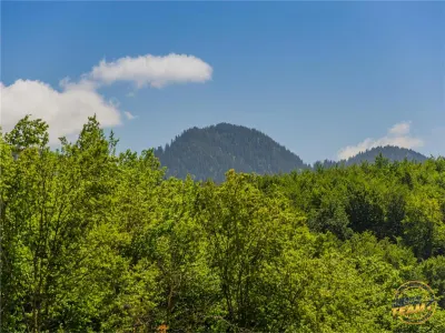 Pensiune cu restaurant, profit asigurat din chirii, terasa spre munte, Brasov - foto 19