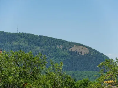 Pensiune cu restaurant, profit asigurat din chirii, terasa spre munte, Brasov - foto 24