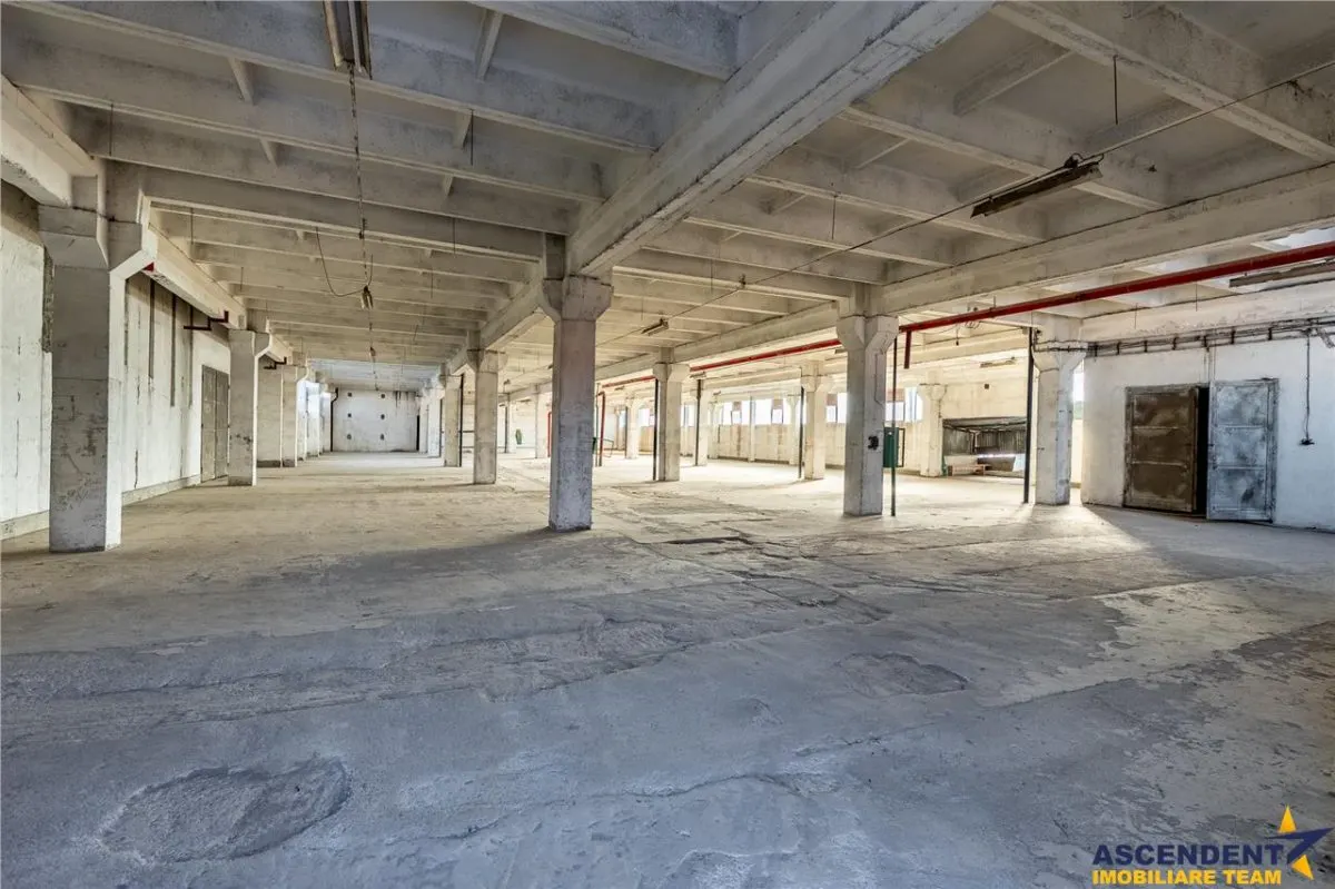 Spatii de depozitare, infrastructura potrivita pentru dezvoltarea afacerii tale - foto 21