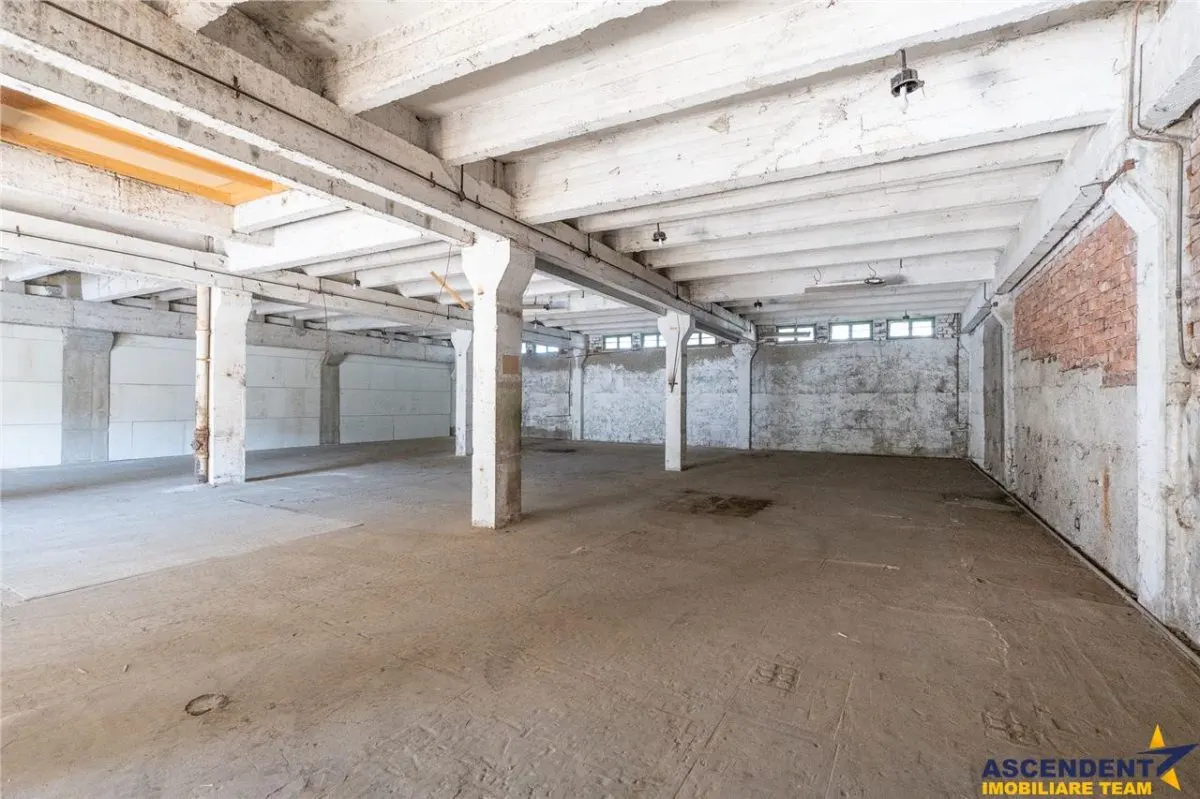 Spatii de depozitare, infrastructura potrivita pentru dezvoltarea afacerii tale - foto 6