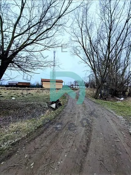 Teren intravilan zona Strada Pescariei, Prejmer - foto 6