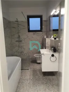 Casa de vanzare  Carpinis - foto 3