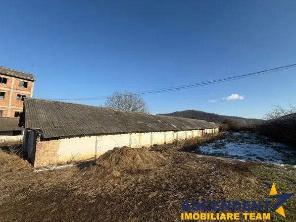 Spatiu Industrial multifunctional: productie, depozitare,logistica, Raciu,Mures - foto 3