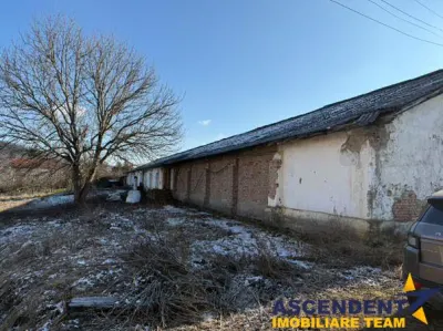 Spatiu Industrial multifunctional: productie, depozitare,logistica, Raciu,Mures - foto 4