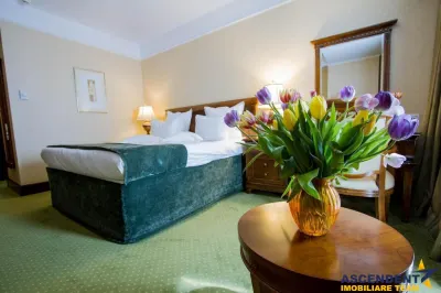 Stabiliment hotelier, Clasa LUX,  facilitati Premium, Centru Spa, Brasov - foto 14